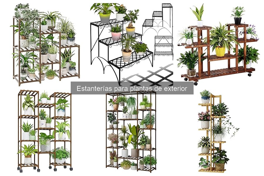 Mantenimiento de estanterías para plantas de exterior: guía práctica