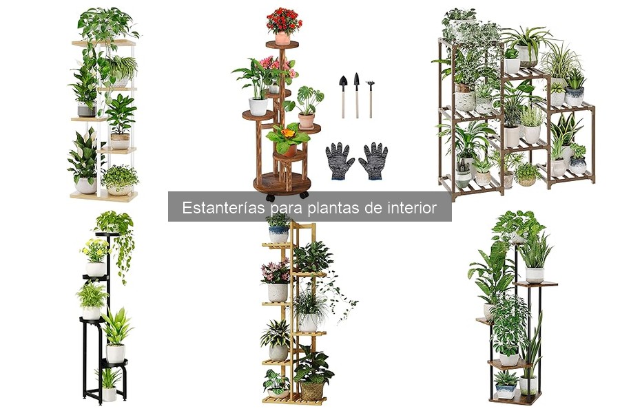 Mantenimiento de Estanterías para Plantas de Interior