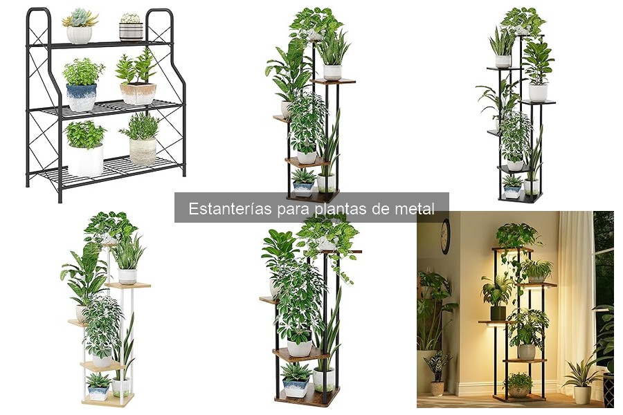 Mantenimiento de Estanterías para Plantas de Metal: Guía Útil