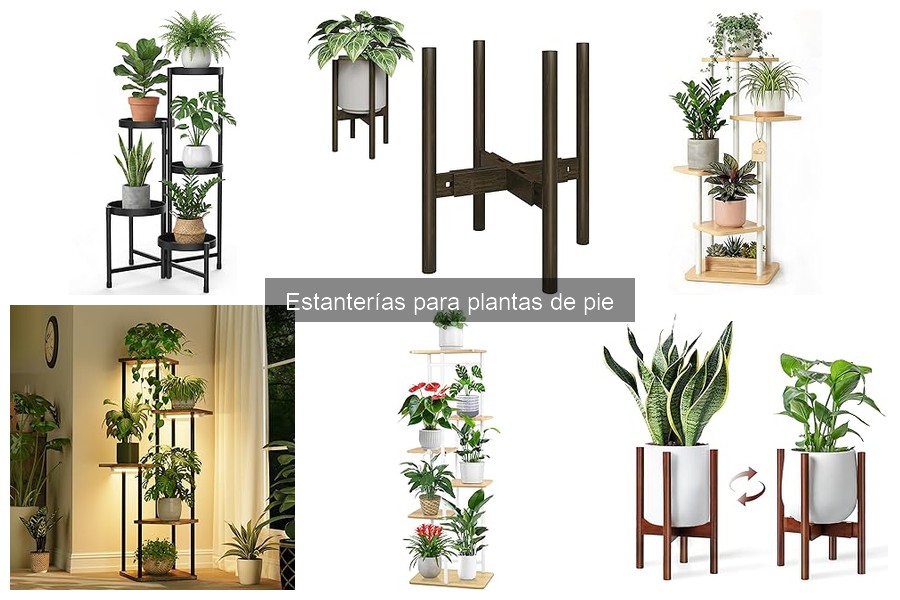 Mantenimiento de estanterías para plantas de pie: consejos útiles