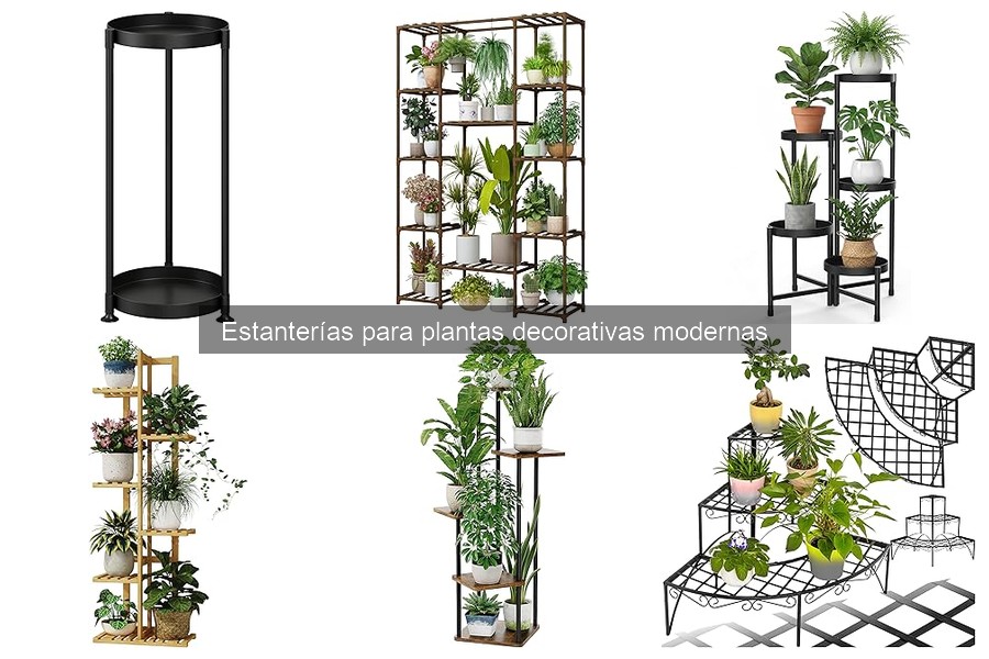 Mantenimiento de Estanterías para Plantas Decorativas Modernas
