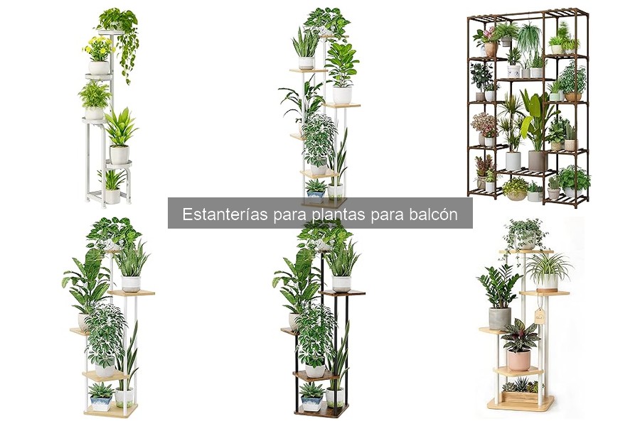 Mantenimiento de estanterías para plantas en el balcón