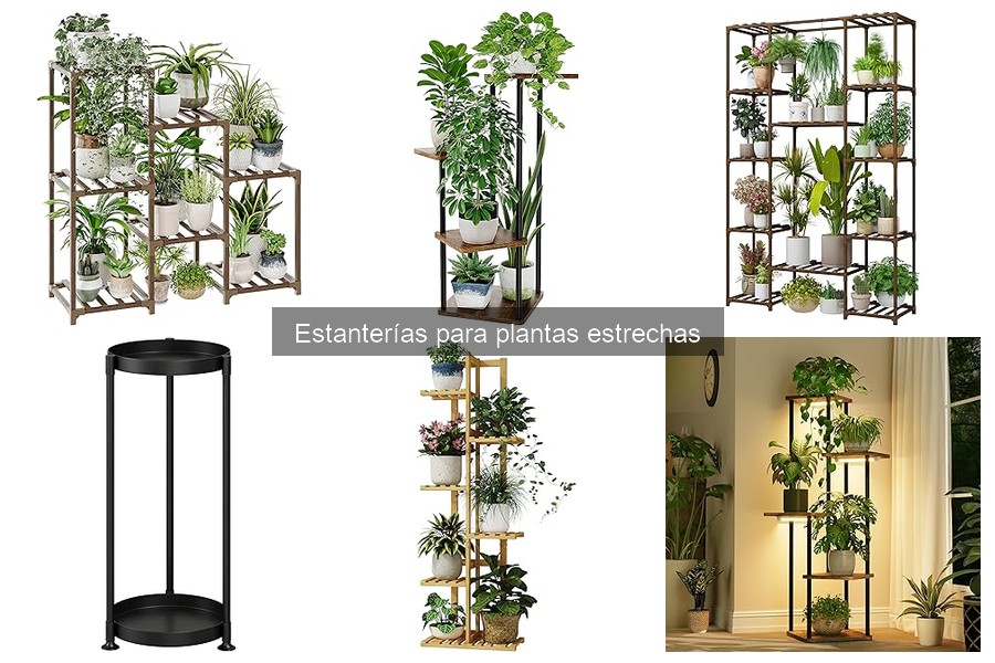 Mantenimiento de Estanterías para Plantas Estrechas: Consejos Útiles
