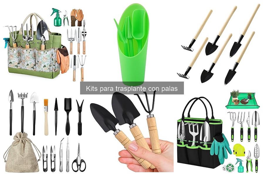 Mantenimiento de herramientas de un kit para trasplante