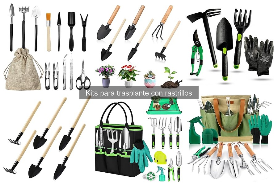Mantenimiento de herramientas en kits de trasplante de jardín