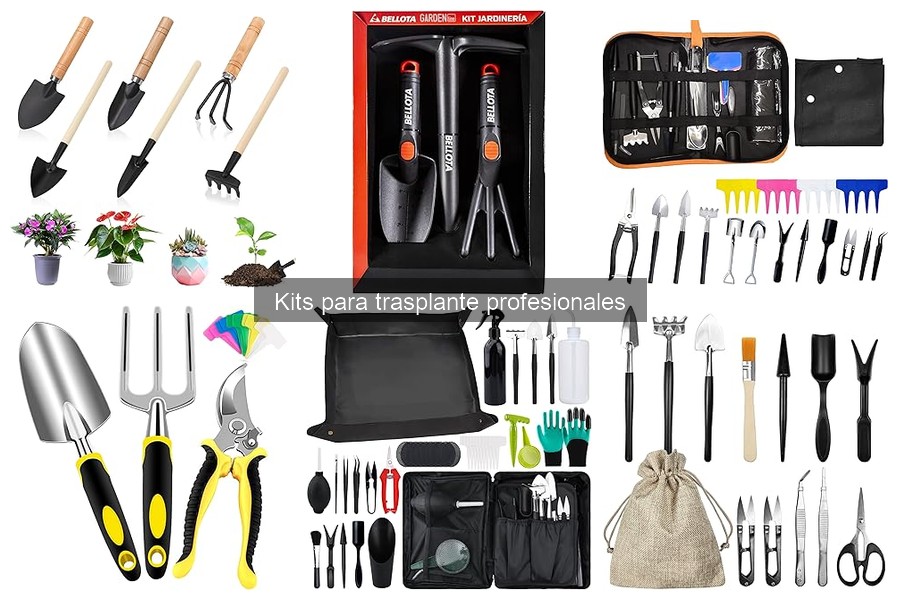 Mantenimiento de Herramientas en Kits para Trasplante