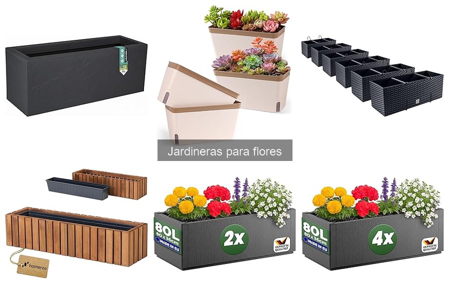 Mantenimiento de Jardineras para Flores: Cuidados Esenciales