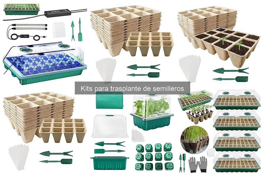 Mantenimiento de Kits para Trasplante de Semilleros