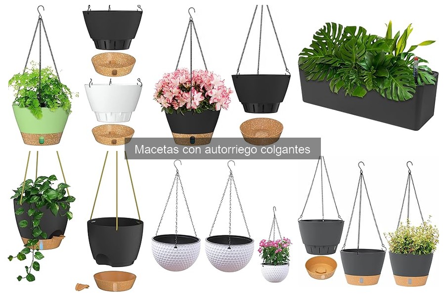 Mantenimiento de Macetas Colgantes con Autorriego