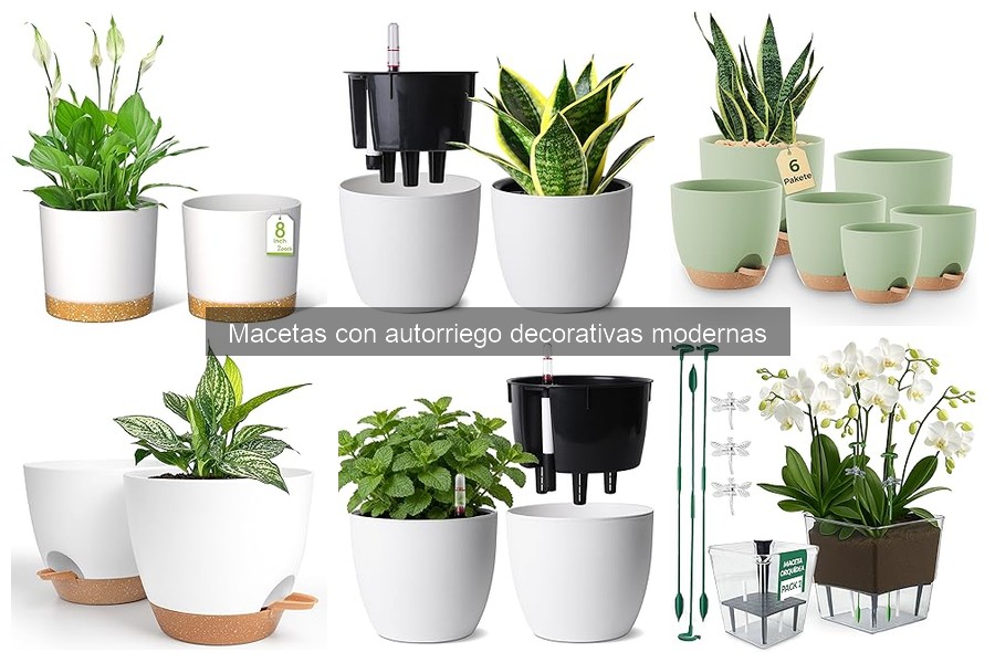Mantenimiento de macetas con autorriego decorativas modernas