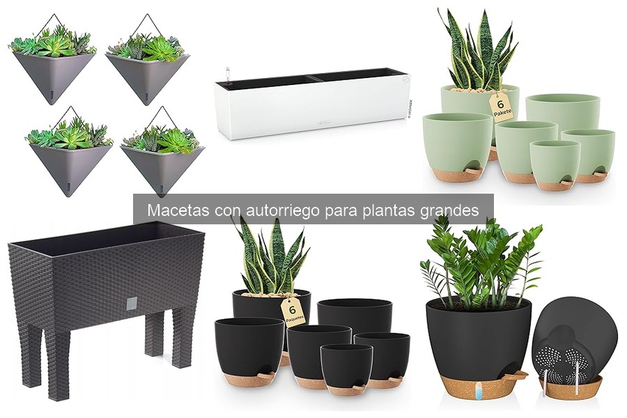Mantenimiento de Macetas con Autorriego para Plantas Grandes