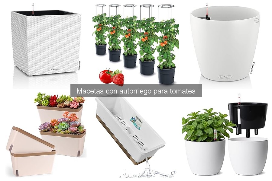 Mantenimiento de macetas con autorriego para tomates