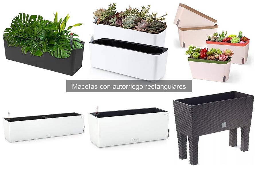 Mantenimiento de macetas con autorriego rectangulares: consejos prácticos
