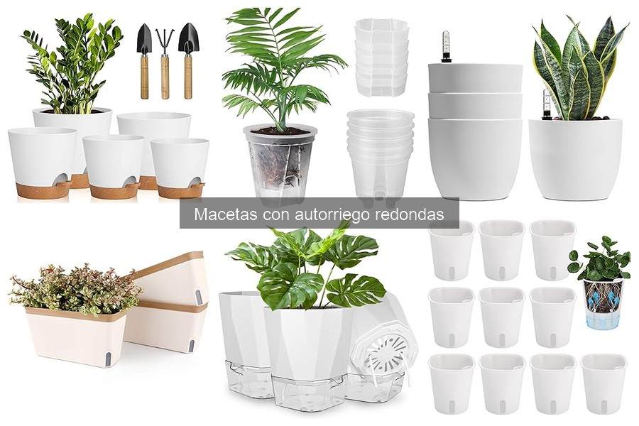Mantenimiento de macetas con autorriego redondas: consejos prácticos