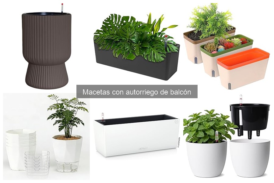 Mantenimiento de macetas con autorriego: Tips y cuidados