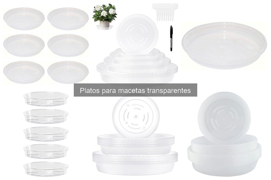Mantenimiento de macetas con platos transparentes: Consejos útiles
