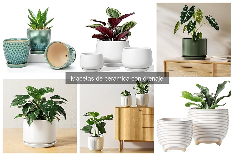 Mantenimiento de macetas de cerámica con drenaje