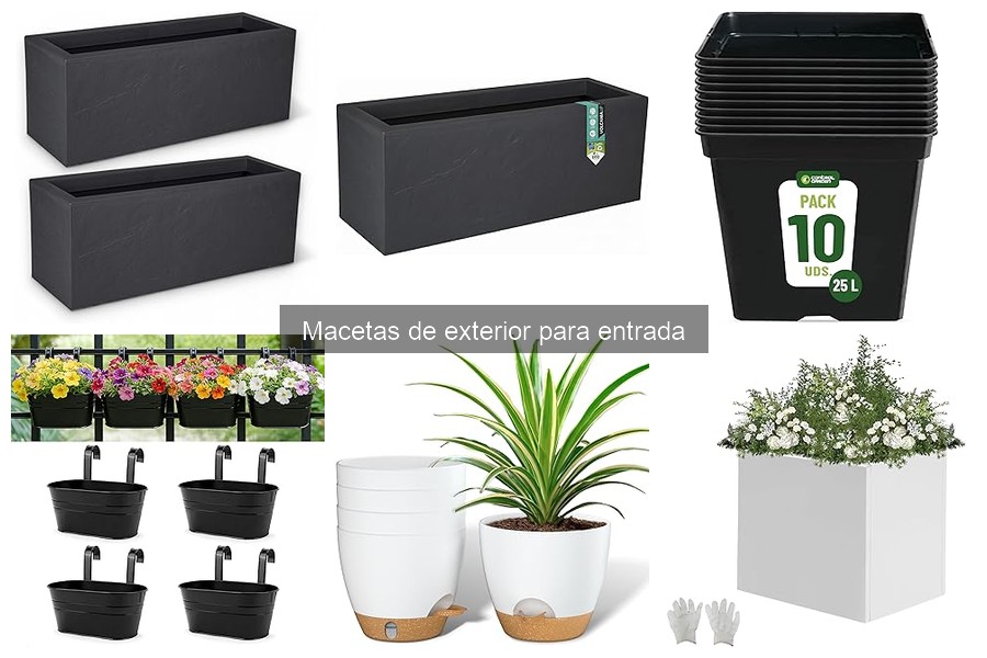 Mantenimiento de Macetas de Exterior en Entradas: Guía Esencial