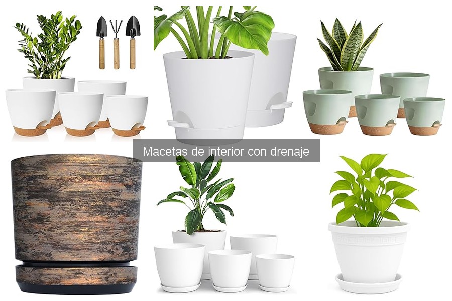 Mantenimiento de Macetas de Interior con Drenaje: Consejos Clave