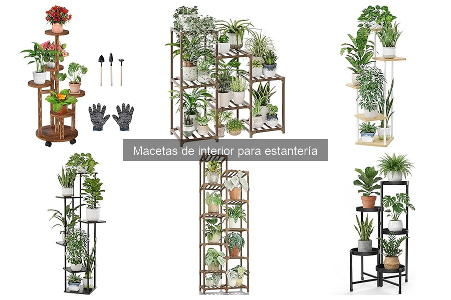 Mantenimiento de Macetas de Interior para Estantería: Guía Práctica