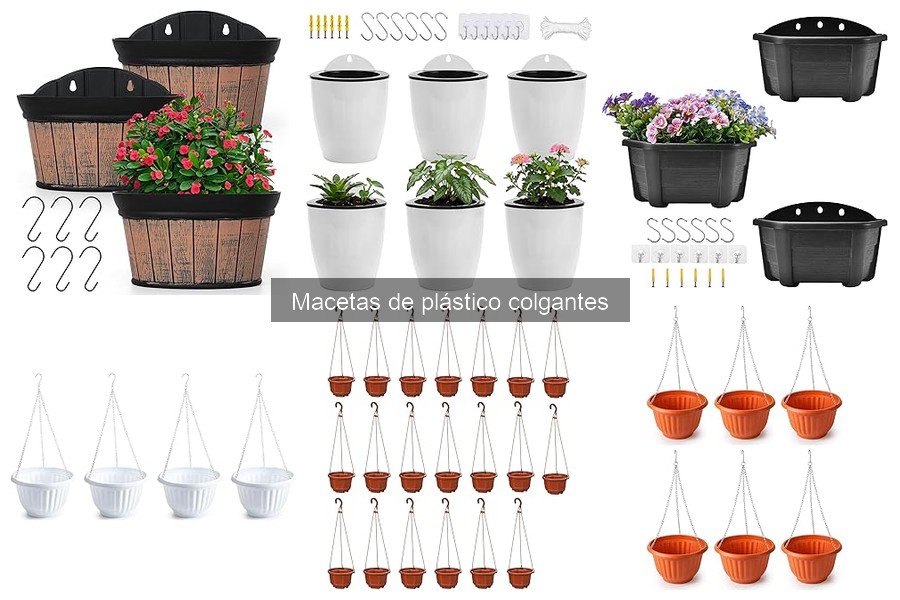 Mantenimiento de Macetas de Plástico Colgantes: Guía Práctica