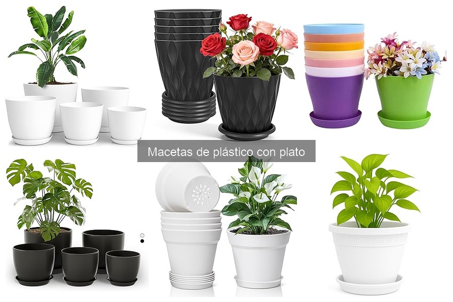 Mantenimiento de Macetas de Plástico con Plato: Consejos Clave