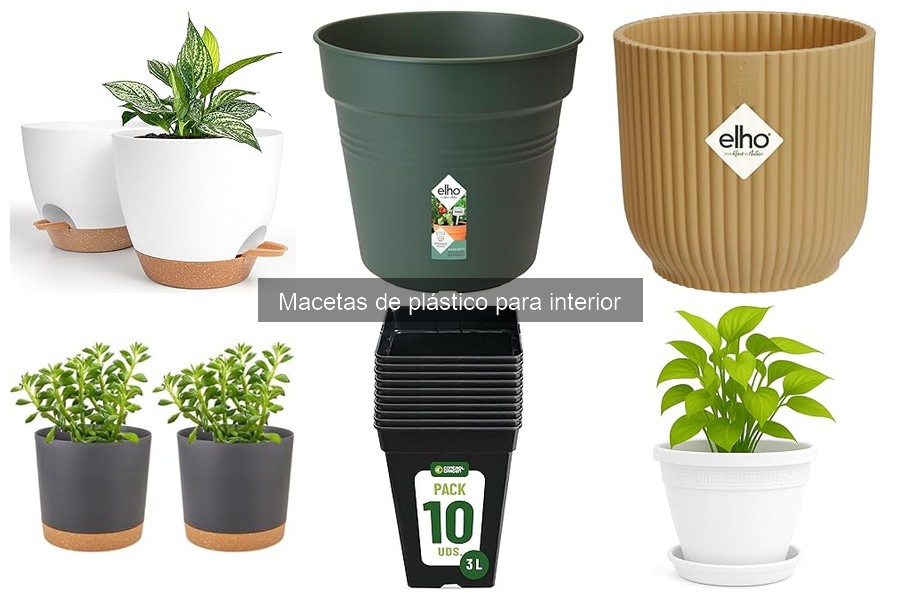 Mantenimiento de macetas de plástico para interiores: consejos prácticos