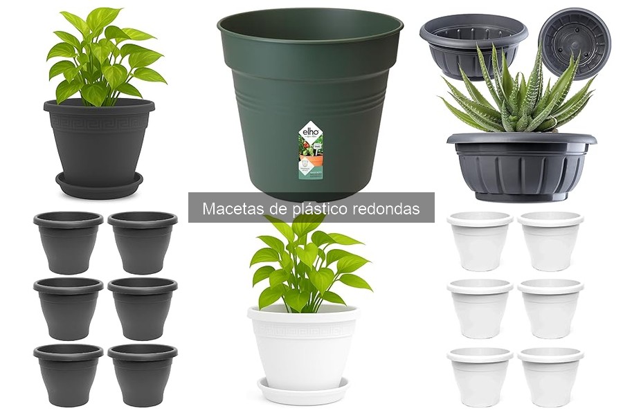 ** Mantenimiento de Macetas de Plástico Redondas: Mejores Prácticas