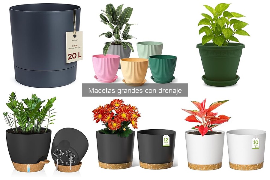 Mantenimiento de Macetas Grandes con Drenaje para tus Plantas
