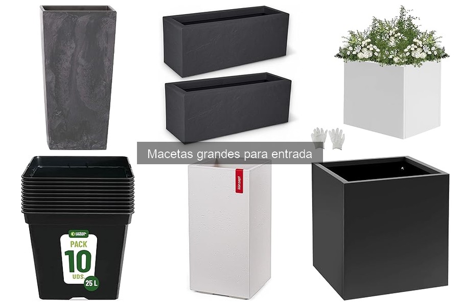 Mantenimiento de Macetas Grandes para Entradas: Consejos Clave