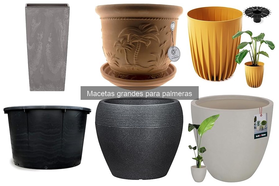 Mantenimiento de macetas grandes para palmeras: Consejos útiles