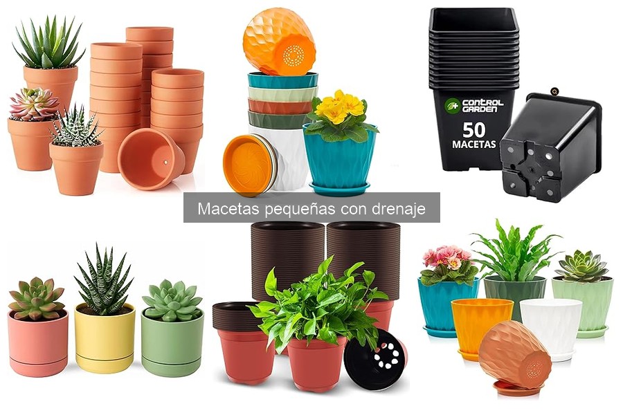 Mantenimiento de macetas pequeñas con drenaje: Consejos útiles