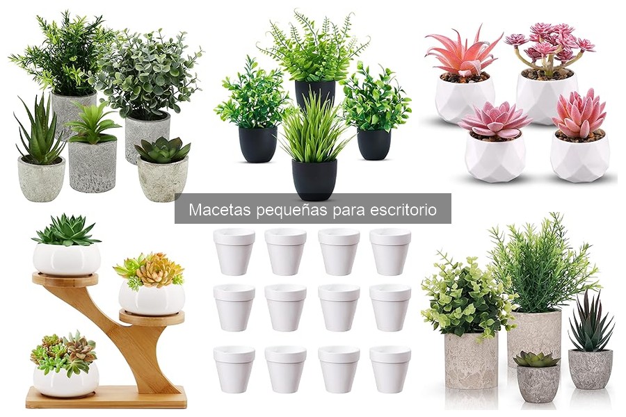 Mantenimiento de macetas pequeñas para escritorio: Guía práctica
