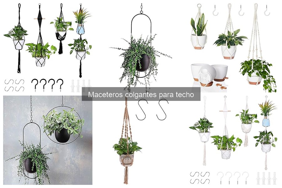 Mantenimiento de maceteros colgantes: Cuidados esenciales