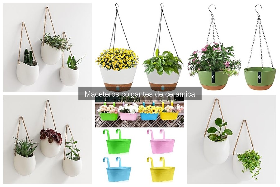 Mantenimiento de Maceteros Colgantes de Cerámica: Consejos Prácticos