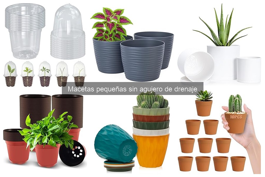 Mantenimiento de plantas en macetas pequeñas sin drenaje