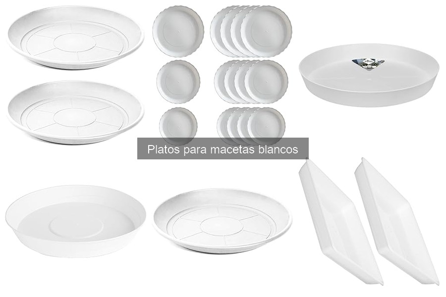 Mantenimiento de Platos para Macetas Blancos: Guía Práctica