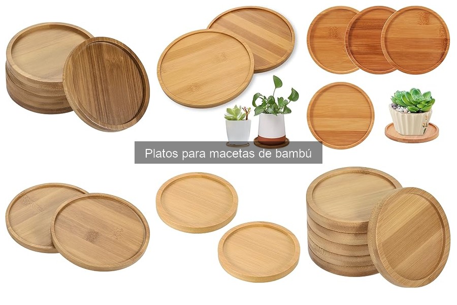 Mantenimiento de platos para macetas de bambú: ¡Guía práctica!