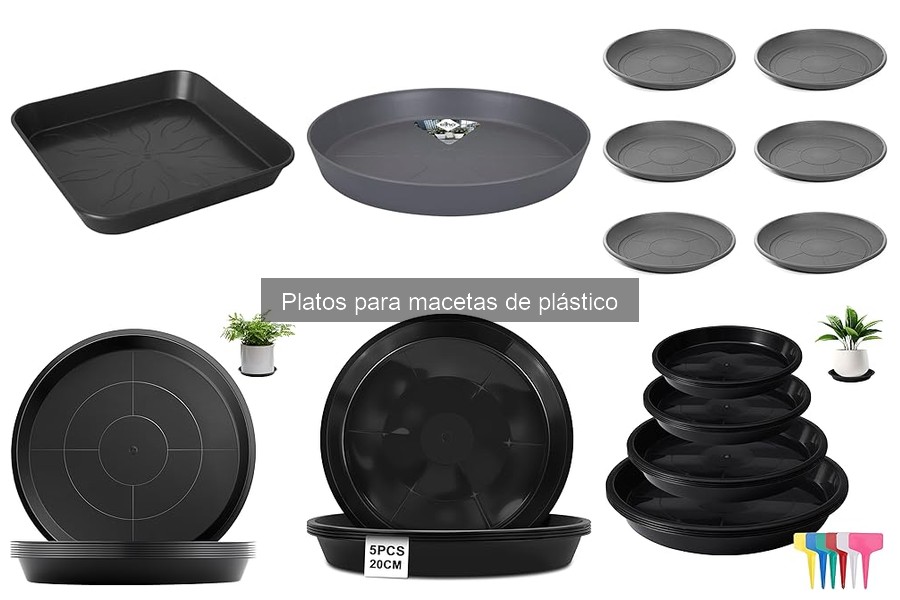 Mantenimiento de Platos para Macetas de Plástico: Mejores Prácticas