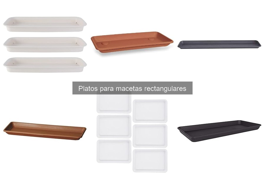 Mantenimiento de platos para macetas rectangulares: Guía práctica