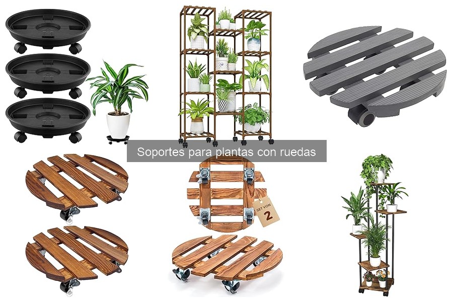 Mantenimiento de Soportes para Plantas con Ruedas