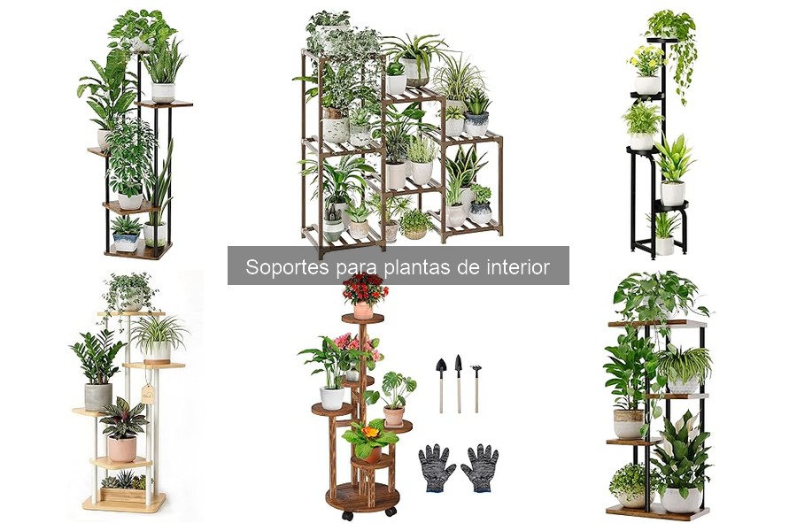 Mantenimiento de Soportes para Plantas de Interior: Guía Práctica