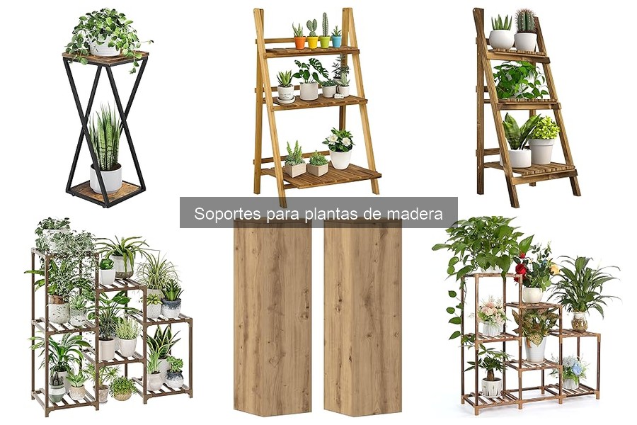 Mantenimiento de Soportes para Plantas de Madera: Consejos Prácticos