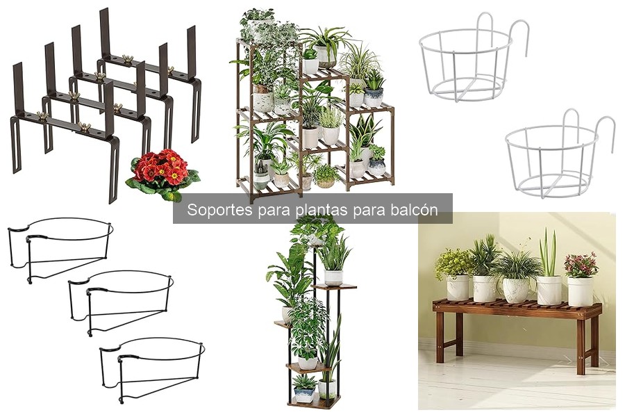 Mantenimiento de soportes para plantas en exteriores: Consejos útiles