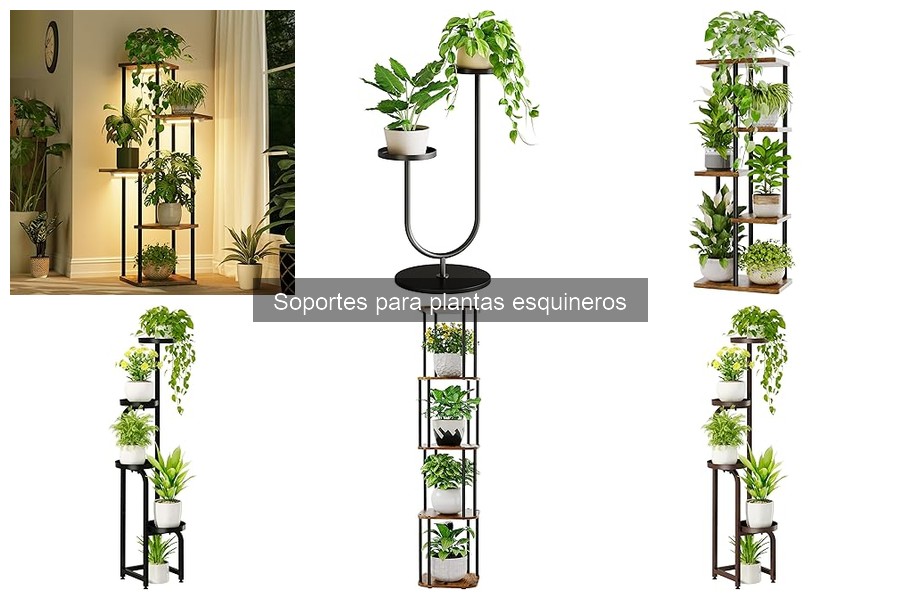 Mantenimiento de soportes para plantas esquineros: cuidados esenciales