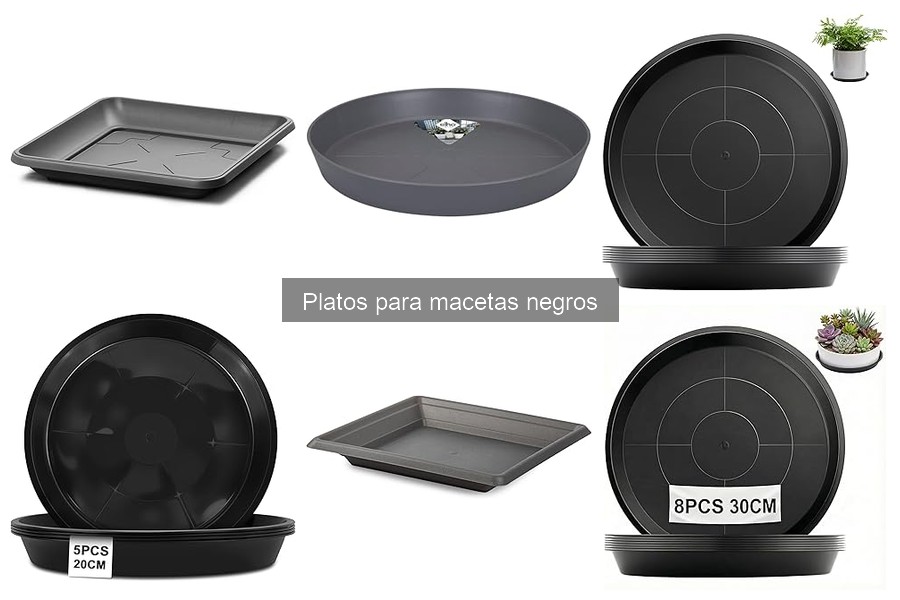 Mantenimiento y limpieza de platos para macetas negros