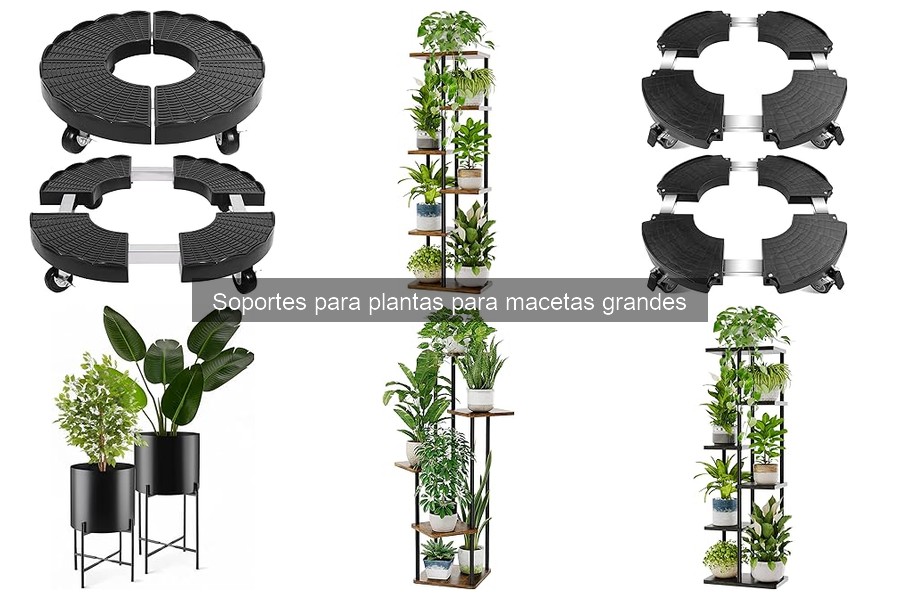 Mantenimiento y limpieza de soportes para plantas en macetas grandes