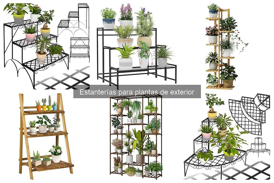 Maximiza el espacio en estanterías para plantas de exterior