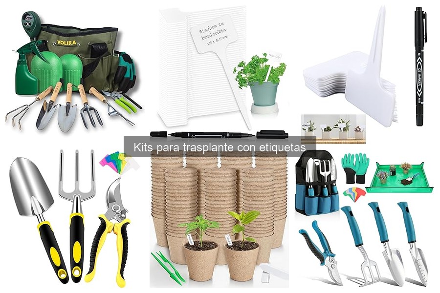 Mejor kit para trasplante con etiquetas para principiantes