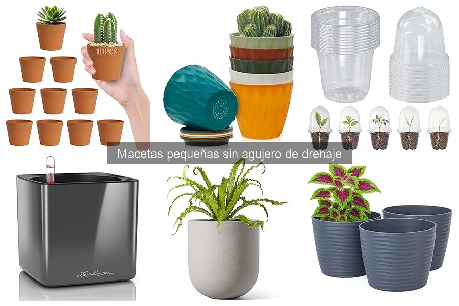 Mejora el drenaje en macetas pequeñas sin agujero